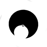 asset icon