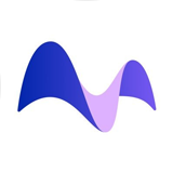 asset icon